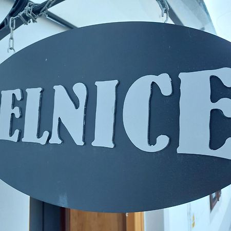 Villa Celnice Český Krumlov 外观 照片