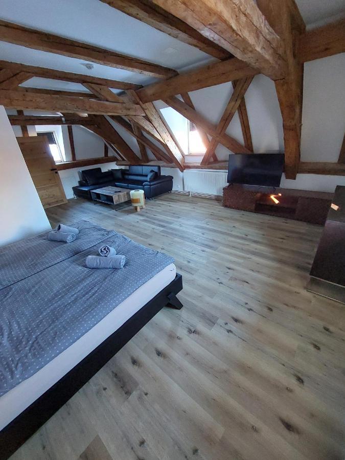 Villa Celnice Český Krumlov 外观 照片