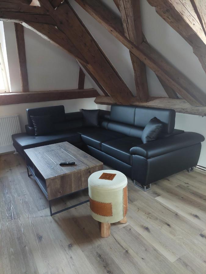 Villa Celnice Český Krumlov 外观 照片