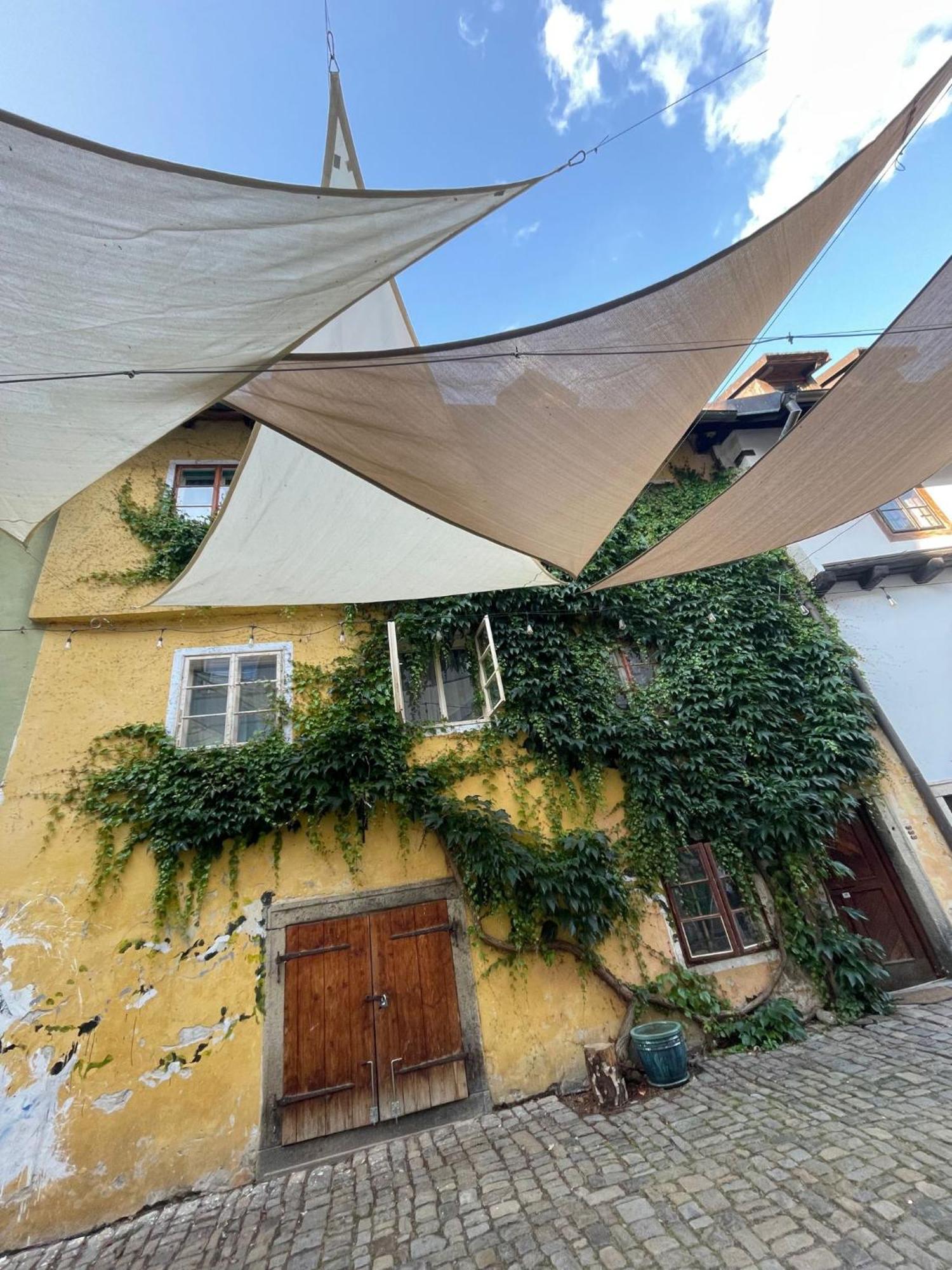 Villa Celnice Český Krumlov 外观 照片