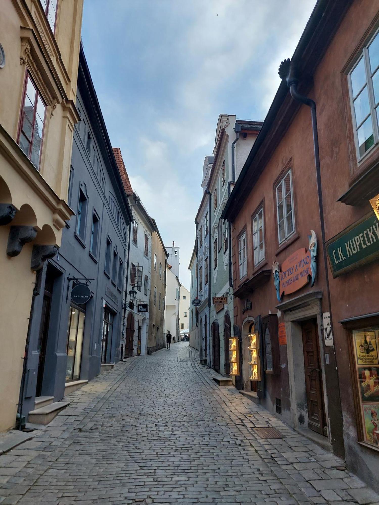 Villa Celnice Český Krumlov 外观 照片
